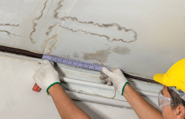 Reliable Water Damage contractor in Carbondale, KS by Water Damage Irwin